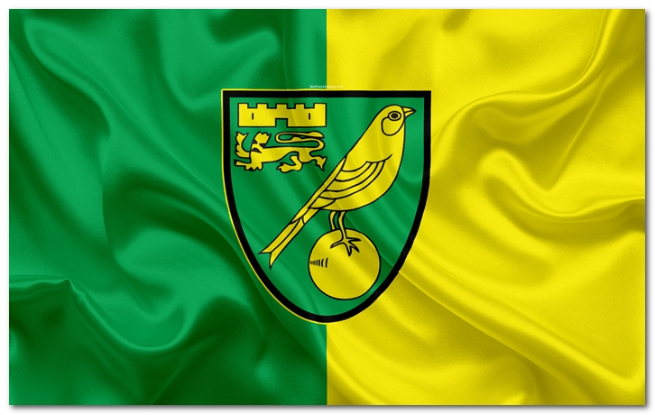 Sport Story About Norwich City Football Club